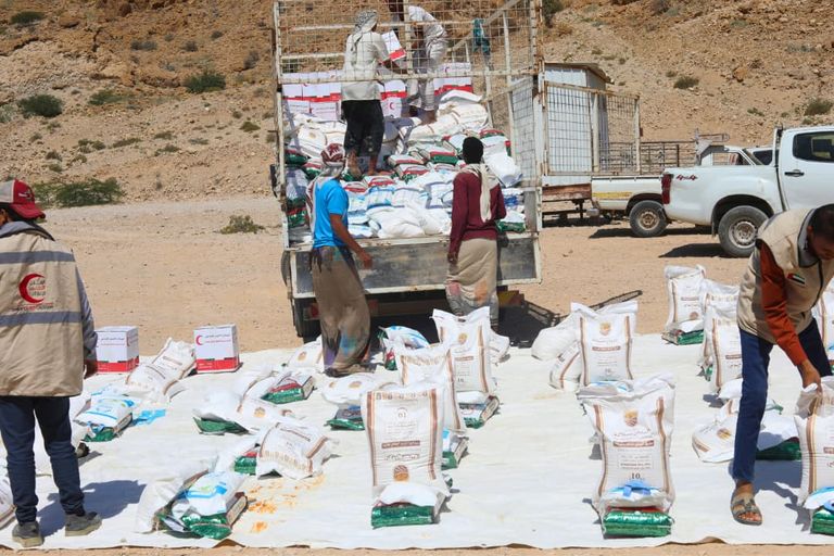 المساعدات الإماراتية إلى اليمن