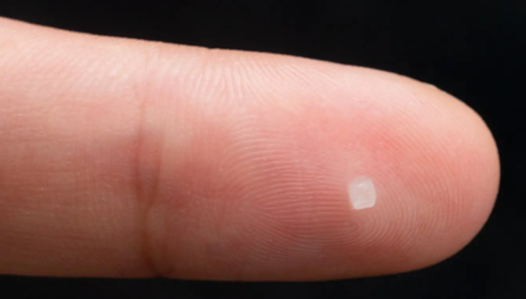 شريحة عصبية بحجم حبة ملح، قادرة على نقل بيانات نشاط الدماغ لاسلكيا