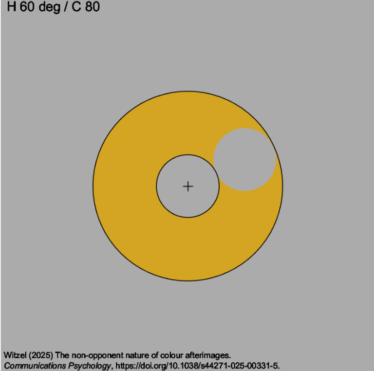 الدكتور كريستوف فيتسل أثناء إجراء التجارب
