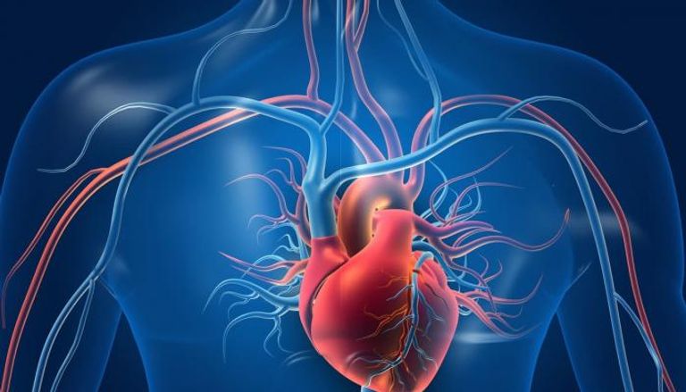 علماء يعيدون الحياة لخلايا القلب التالفة