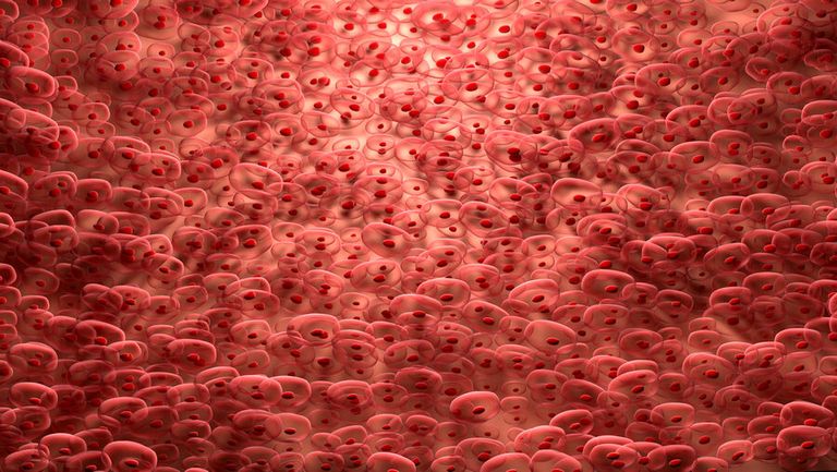 علماء يعيدون الحياة لخلايا القلب التالفة