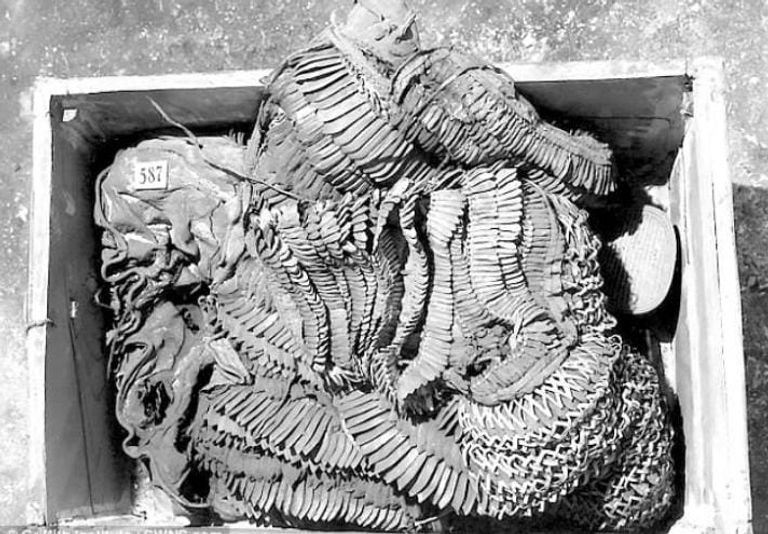 الدرع الحربي للملك توت عنخ آمون