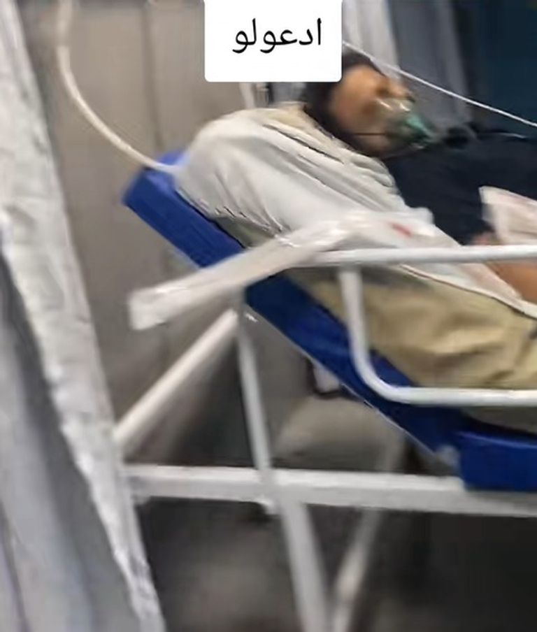 إسماعيل الليثي 