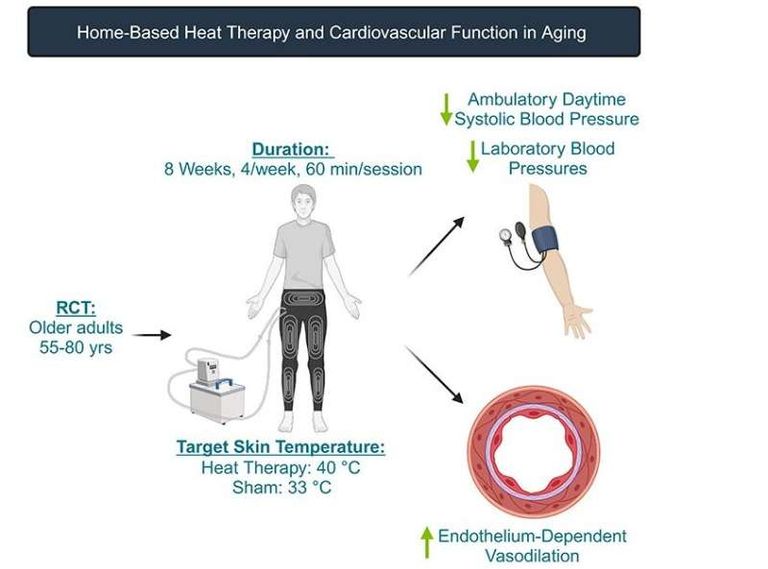 سراويل ساخنة لخفض ضغط الدم