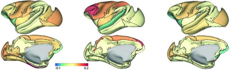 كشف سر النضوج العقلي في سن المراهقة