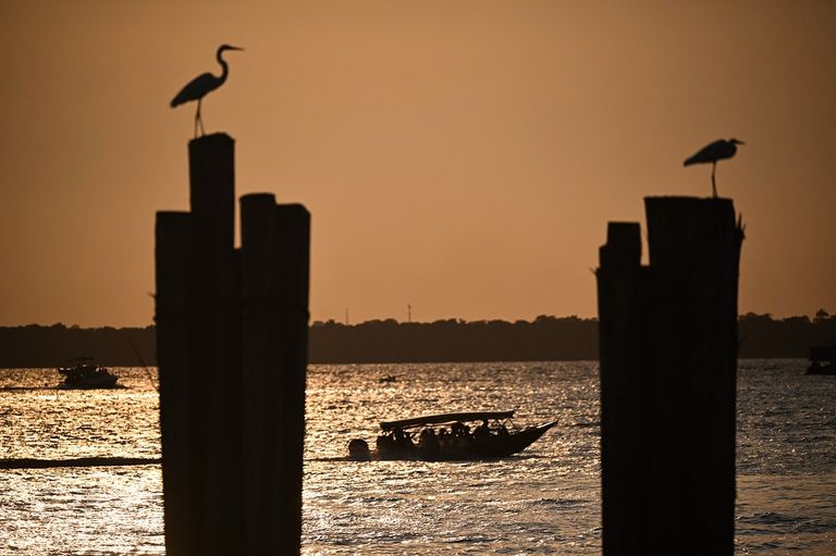 قمة القادة قبل مؤتمر الأمم المتحدة للمناخ COP30 في بيليم