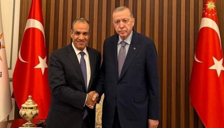 الرئيس التركي ووزير الخارجية المصري