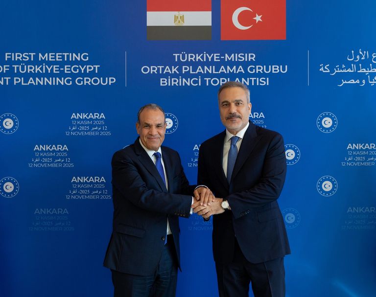 الرئيس التركي ووزير الخارجية المصري