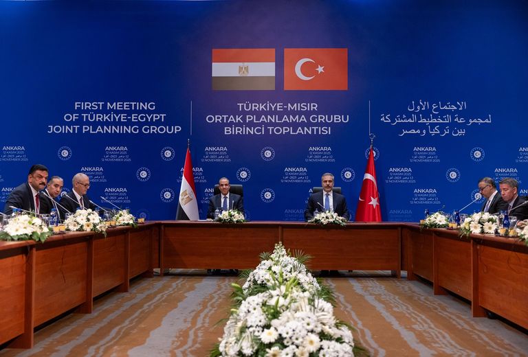 الرئيس التركي ووزير الخارجية المصري