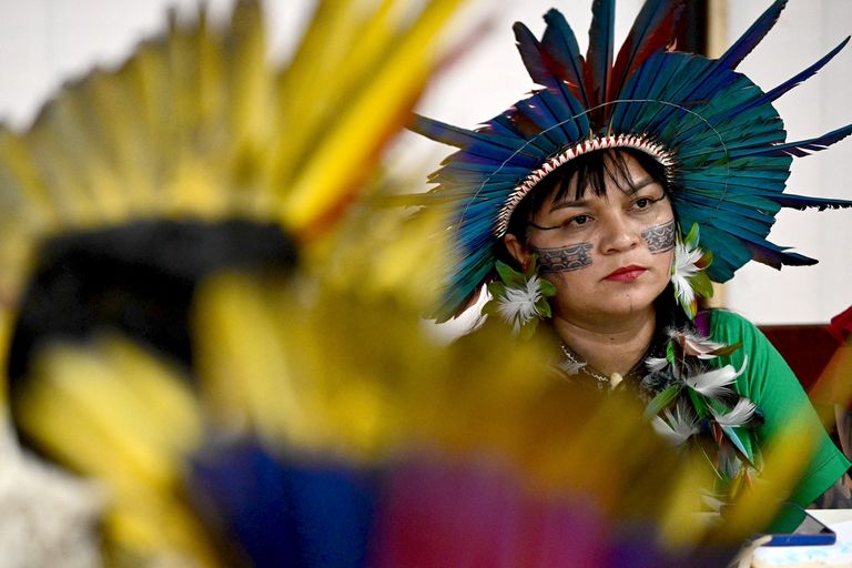 الشعوب الأصلية - أ ف ب