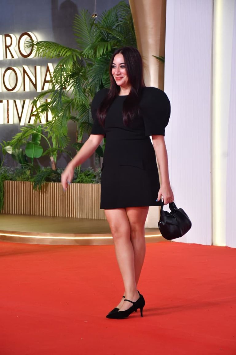 ثاني أيام مهرجان القاهرة السينمائي ثاني أيام مهرجان القاهرة السينمائي