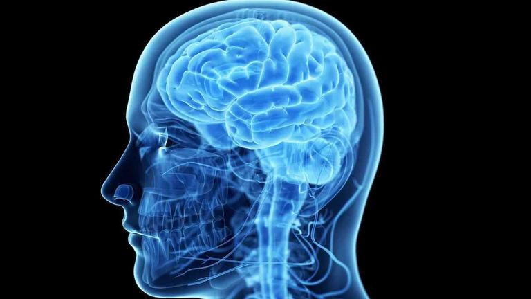 جمجمة بشرية