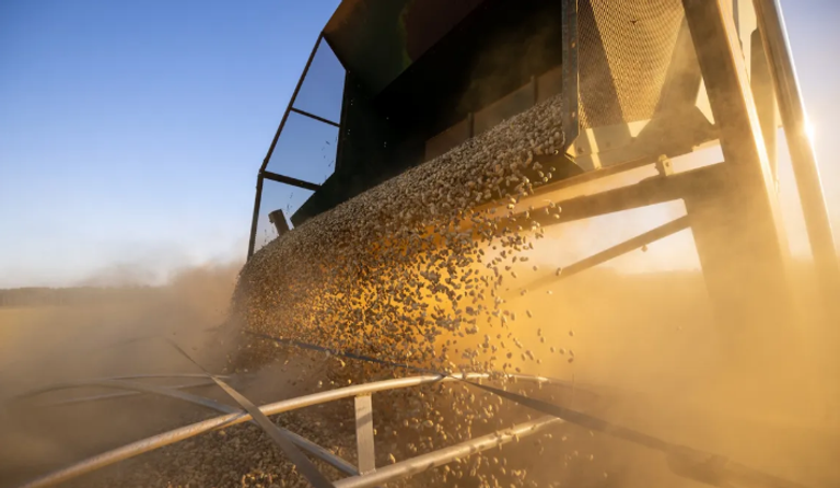 العواصف الشمسية قد تشكل تهديدا كبيرا على زراعة الفستق