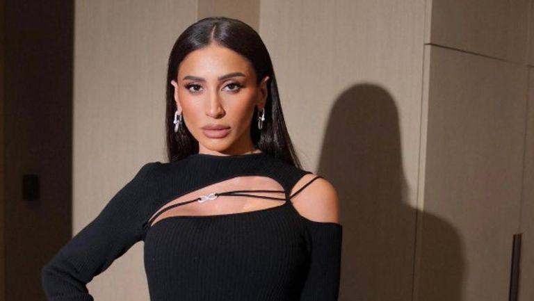 دينا الشربيني الفنان آسر ياسين