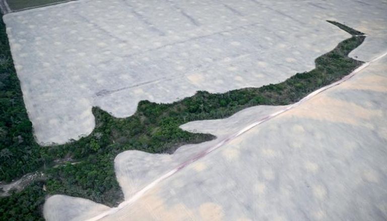 منطقةً مُزالة الأشجار من غابات الأمازون المطيرة - أ ف ب