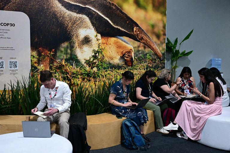 فعاليات COP30 في البرازيل - أ ف ب فعاليات COP30 في البرازيل - أ ف ب