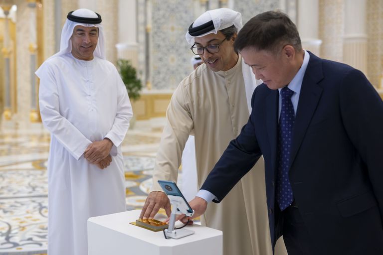 الشيخ منصور بن زايد آل نهيان - وام