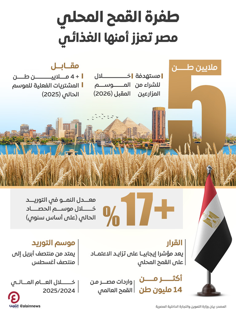 طفرة قمح محلية في مصر