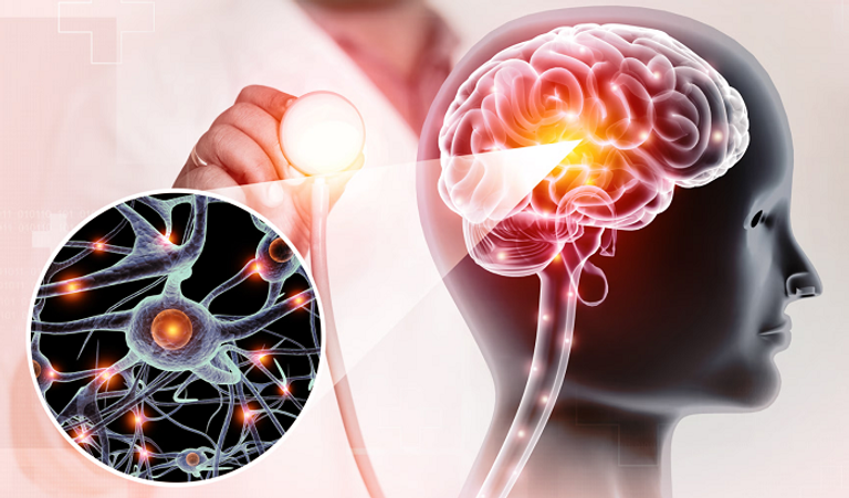 صناعة نسيج يشبه الدماغ البشري