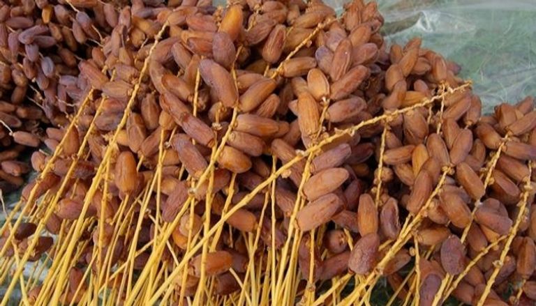 التمور في تونس