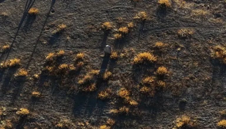 قصة القبر المنعزل في تركيا