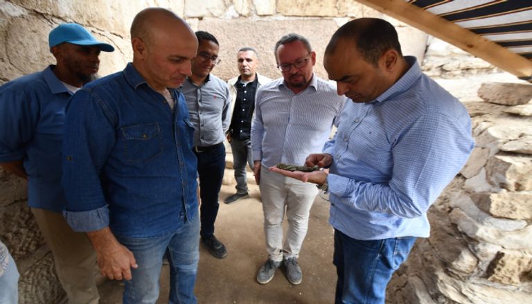 كشف أثري بصان الحجر بمصر