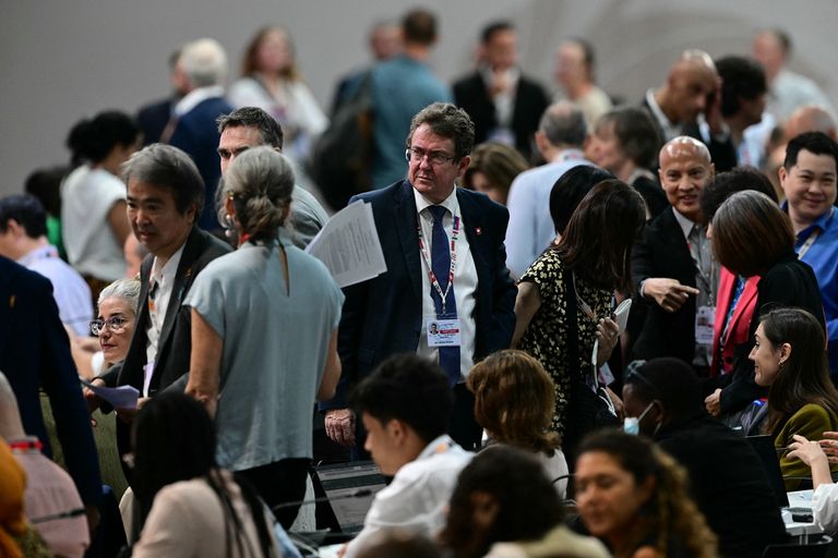 فعاليات COP30 في البرازيل - أ ف ب