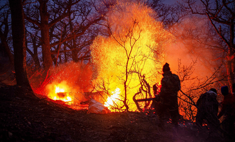 حرائق غابات إيران