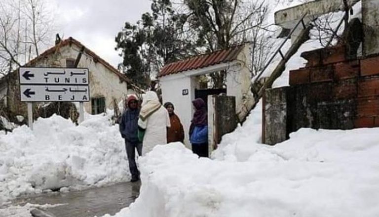 نزول الثلوج في عين دراهم التونسية