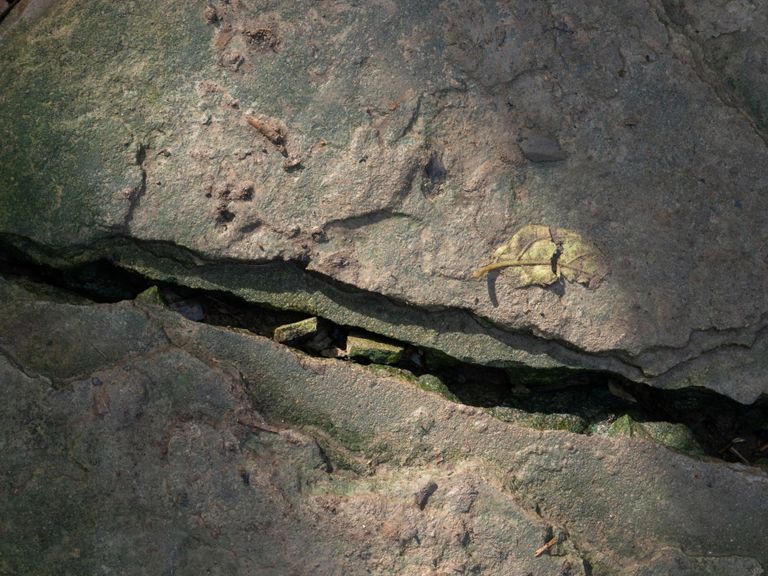 قارة أفريقيا