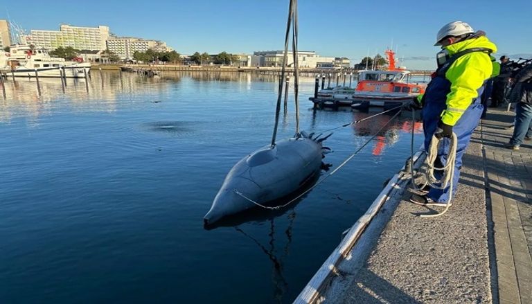 مسيرة غراي شارك