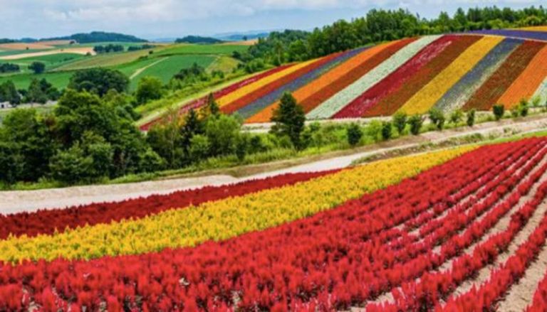 جزيرة هوكايدو الزراعية