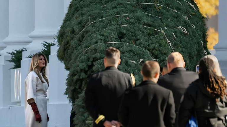 ميلانيا ترامب تستقبل شجرة الكريسماس ميلانيا ترامب تستقبل شجرة الكريسماس