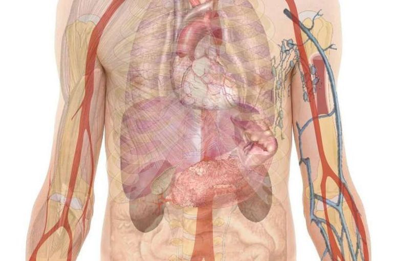 ابتكار تقنية تجعل الأجسام المضادة أكثر قدرة على اختراق الخلايا السرطانية