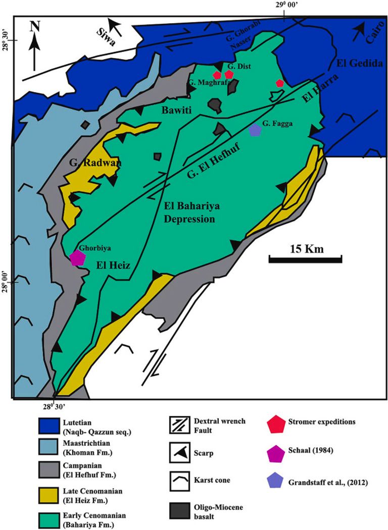 عينات أحفورية لثلاث سلاحف عاشت قبل نحو 95 مليون عام في مصر