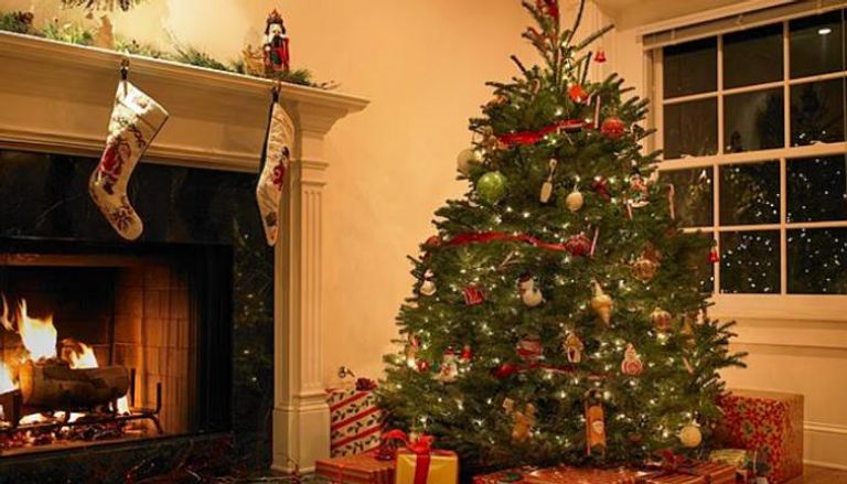 شجرة عيد الميلاد تقدم فوائد صحية 