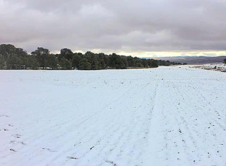 الثلوج تغطي مدينة حيدرة