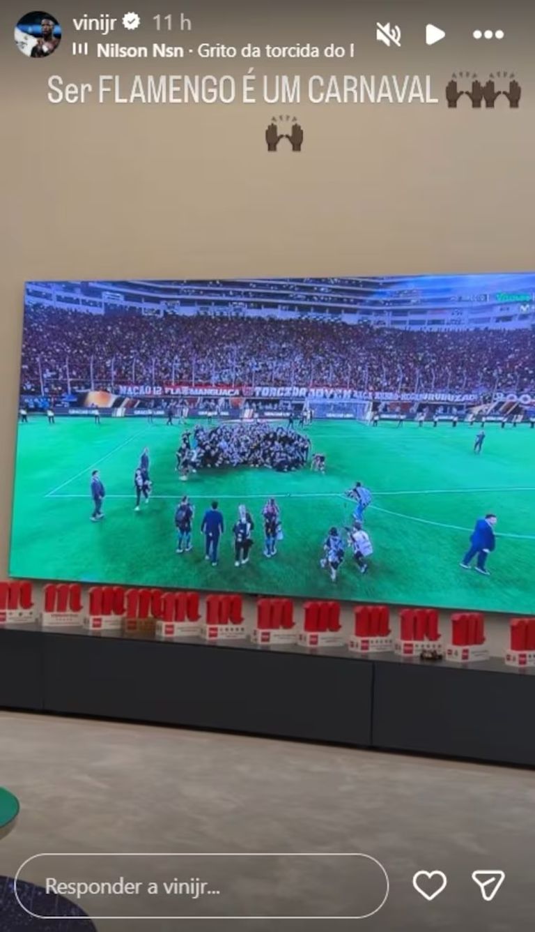 فينيسيوس جونيور