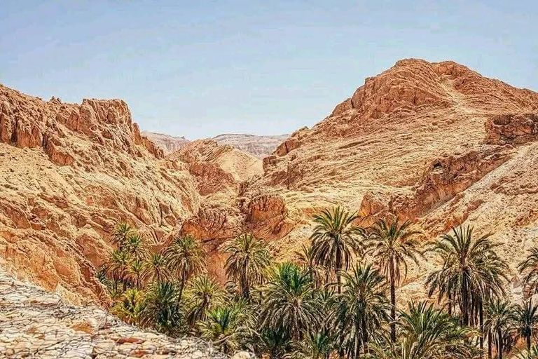 صورة من صحراء دوز في تونس