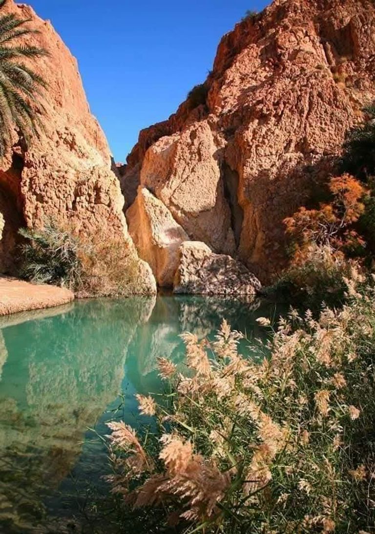 صورة من صحراء دوز في تونس