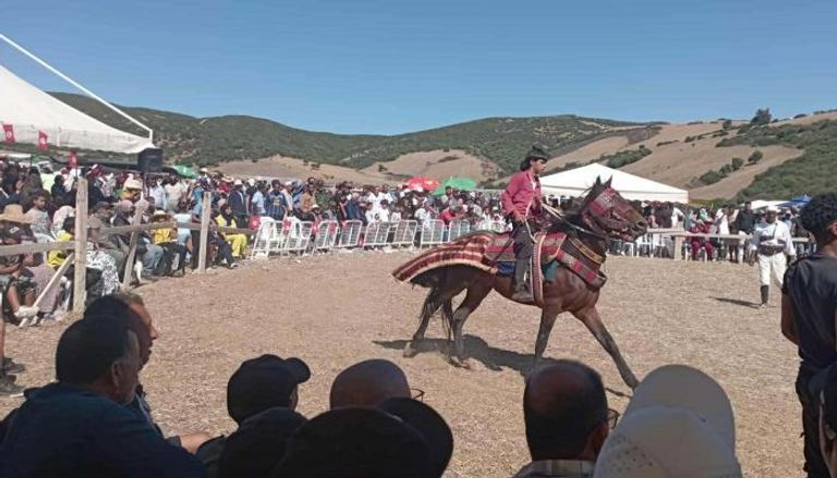  عرض الفروسية في المهرجان