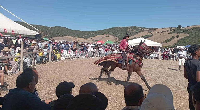  عرض الفروسية في المهرجان