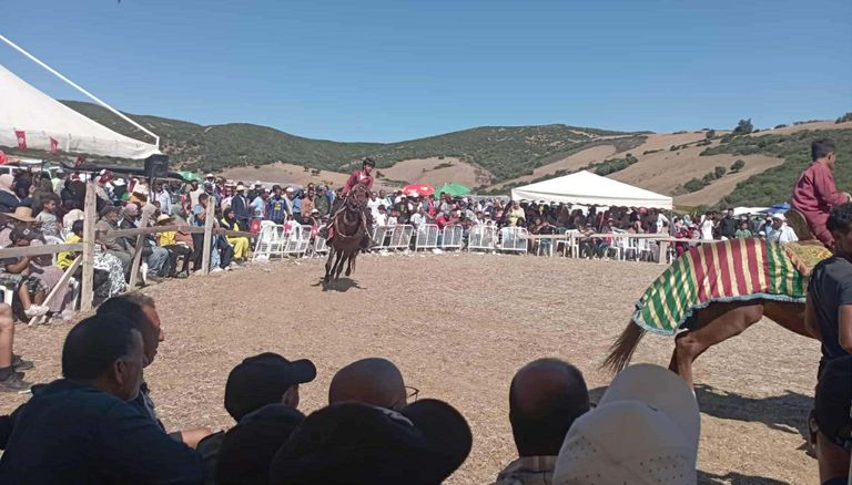  عرض الفروسية في المهرجان