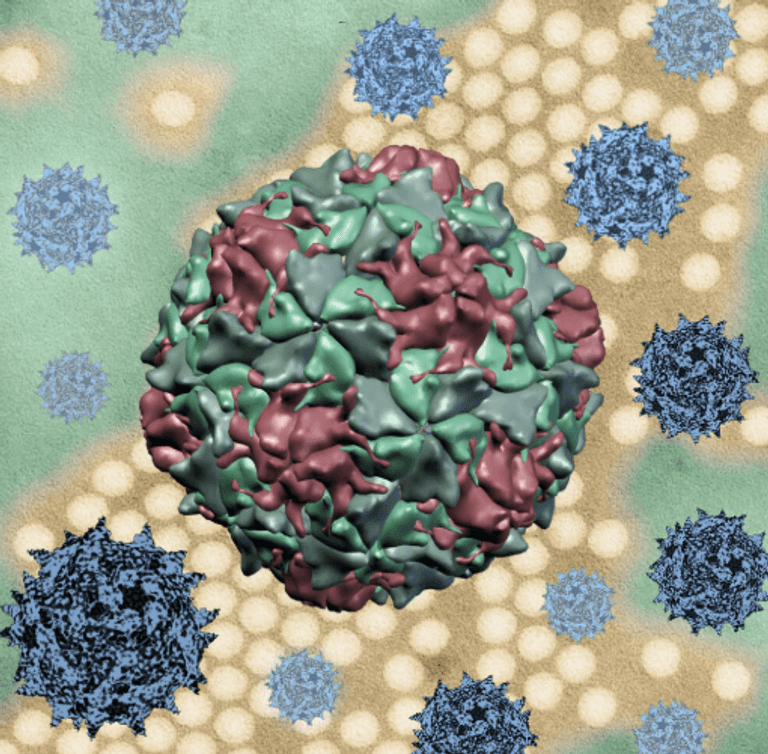 فيروسات شبيهة بشلل الأطفال تثير القلق في العراق