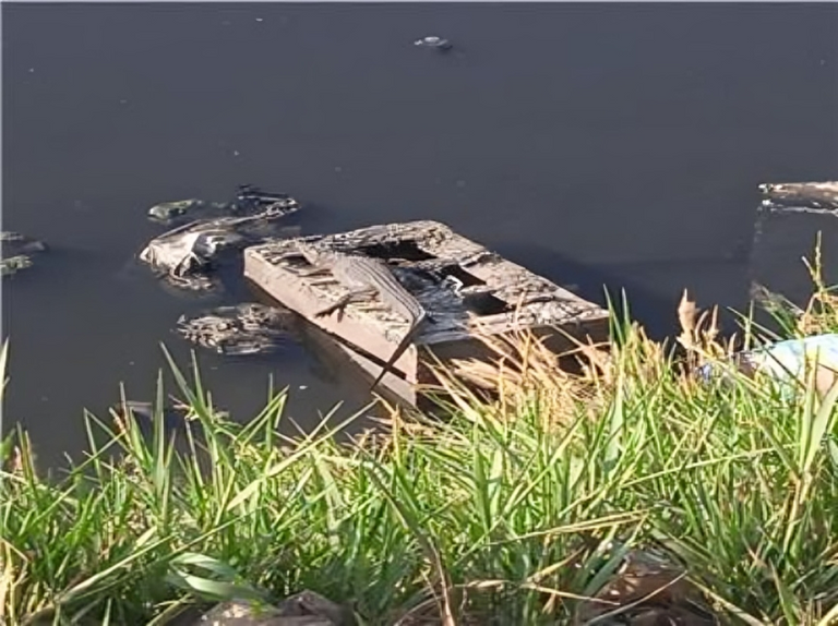 تماسيح الزوامل في محافظة الشرقية بمصر