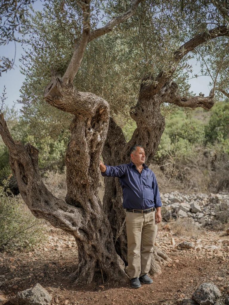 الاستيطان يتوغل في الضفة الغربية