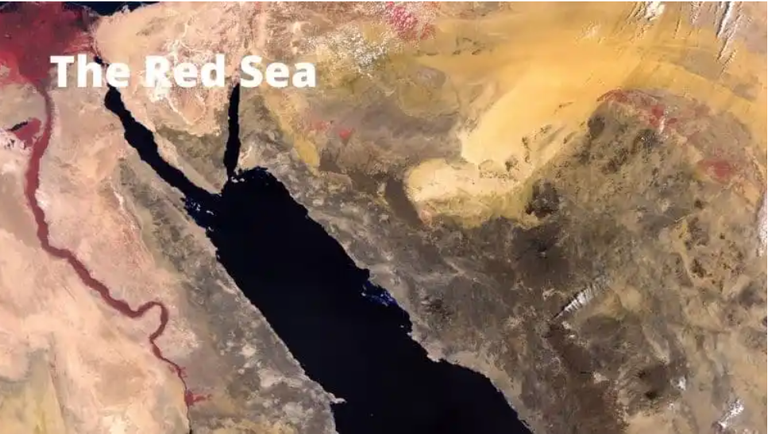 البحر الأحمر كان يوما أعلى بـ12 مترا من مستواه الحالي