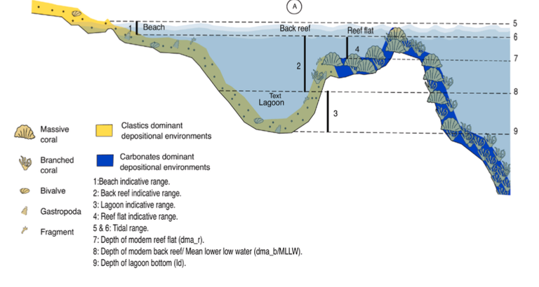 البحر الأحمر كان يوما أعلى بـ12 مترا من مستواه الحالي