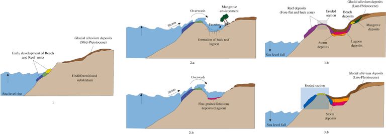 البحر الأحمر كان يوما أعلى بـ12 مترا من مستواه الحالي