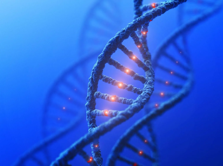 أعطال بنية الحمض النووي تقود إلى سرطان الدم